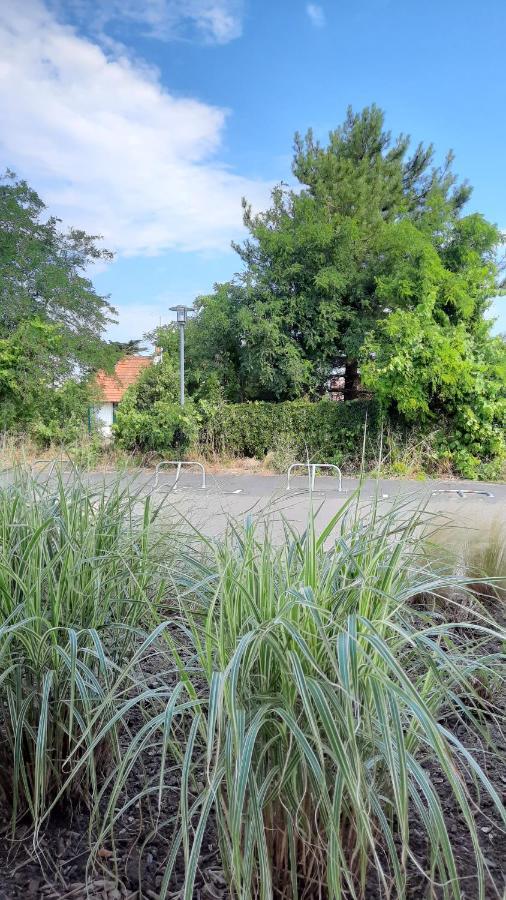 La Parée d Eau appt 104 - Résidence avec piscine Notre-Dame-de-Monts Exterior foto